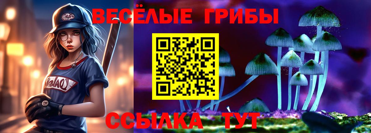 Усть-Илимск  Псилоцибиновые грибы прущие грибы  где купить   Вход с VPN 